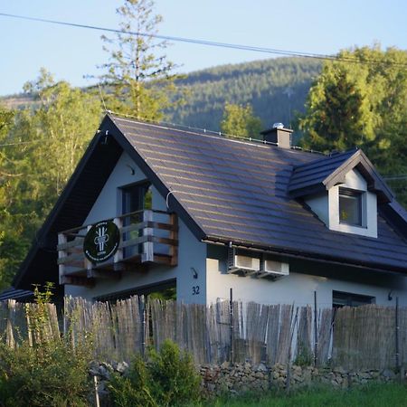 Ski House Szczyrk - Czyrna Eksteriør billede