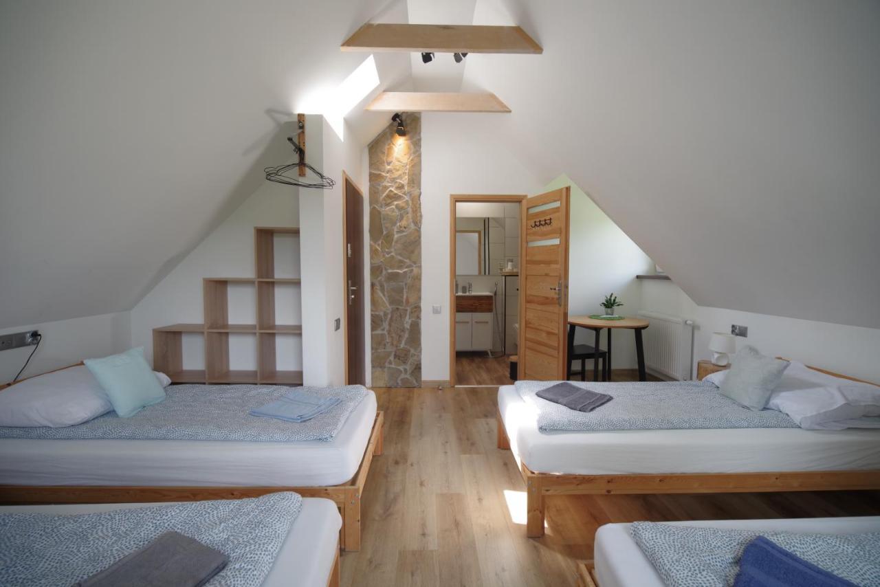 Ski House Szczyrk - Czyrna Eksteriør billede