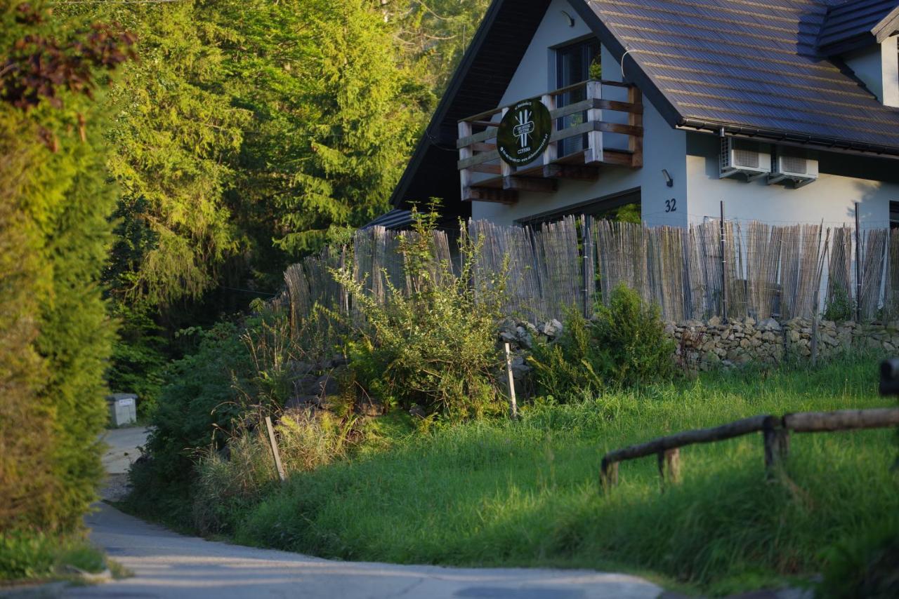 Ski House Szczyrk - Czyrna Eksteriør billede